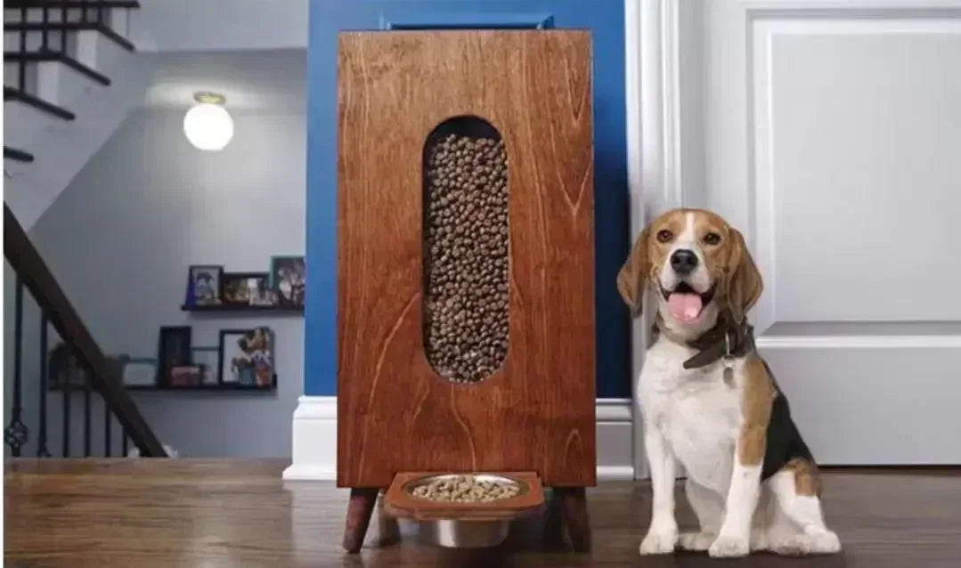 Modern dog feeder