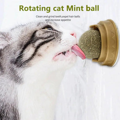 Cat Wall Stick-on Ball